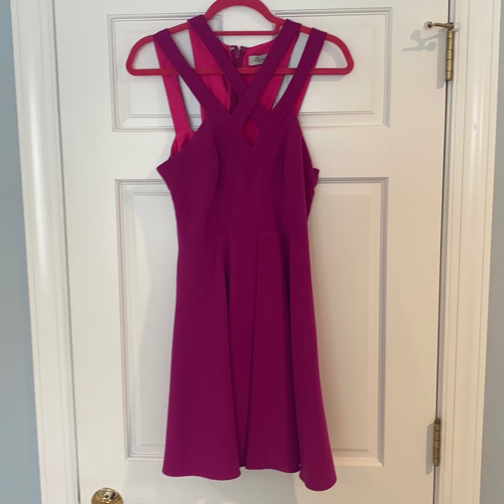 Lumier Fuchsia wild at heart dress size small